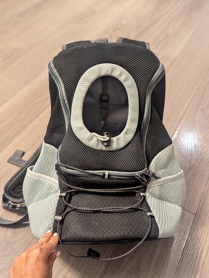 Pet Carrier Backpack for Small Dogs/Cats (Up to 10lbs)