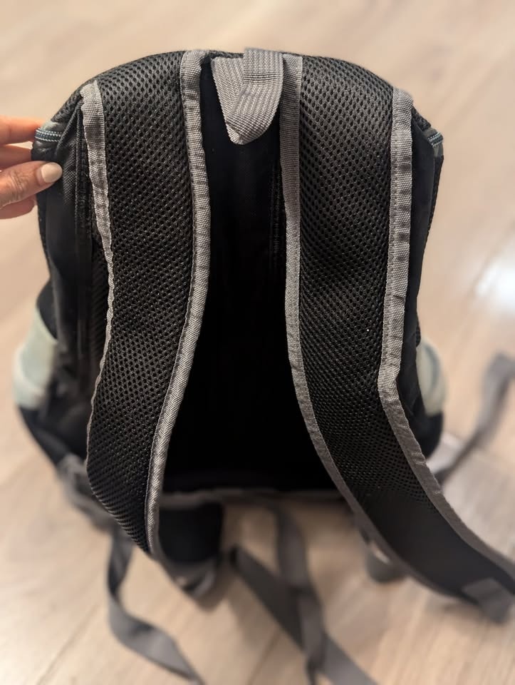 Pet Carrier Backpack for Small Dogs/Cats (Up to 10lbs) - photo 2