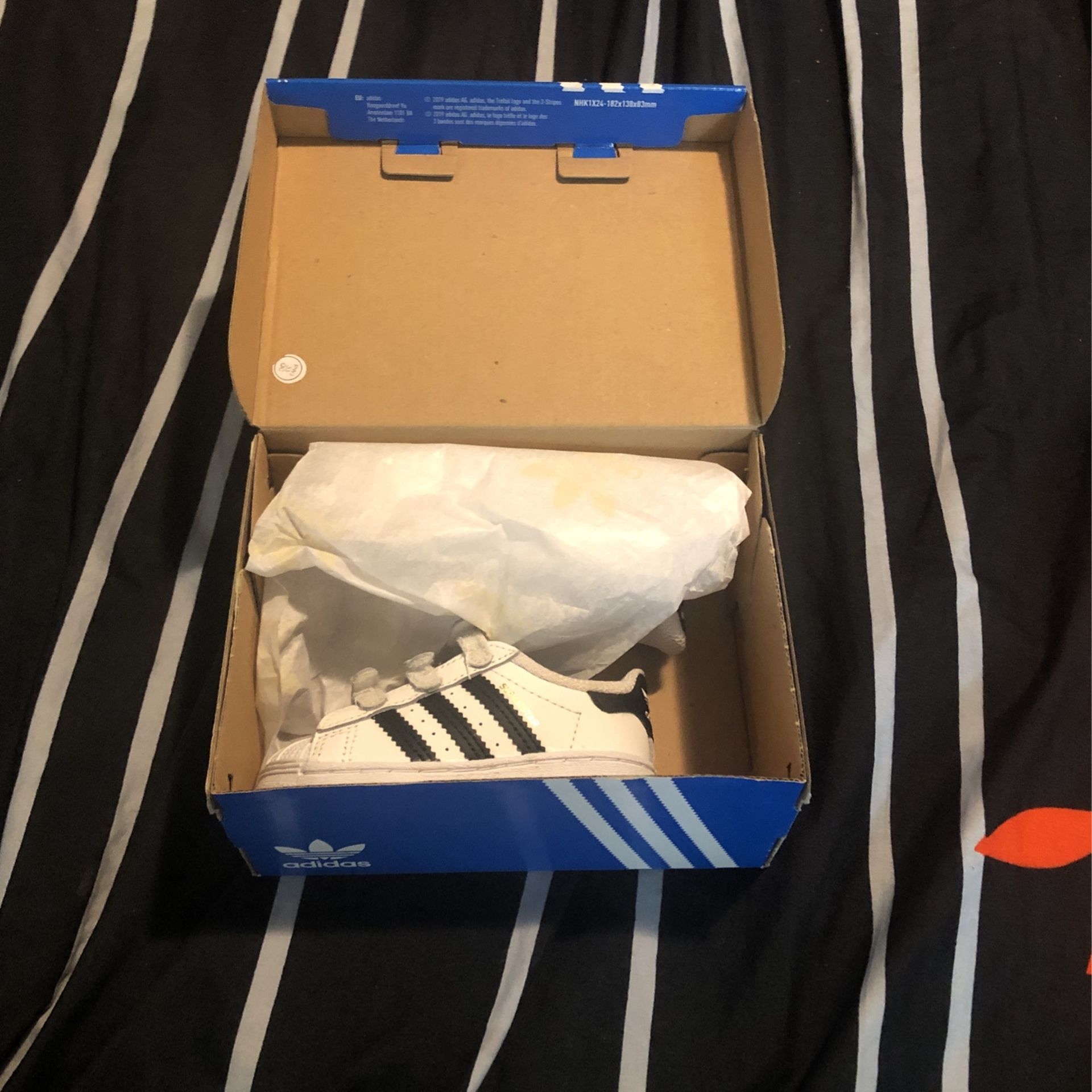 Adidas Low Top Shells Size 5c