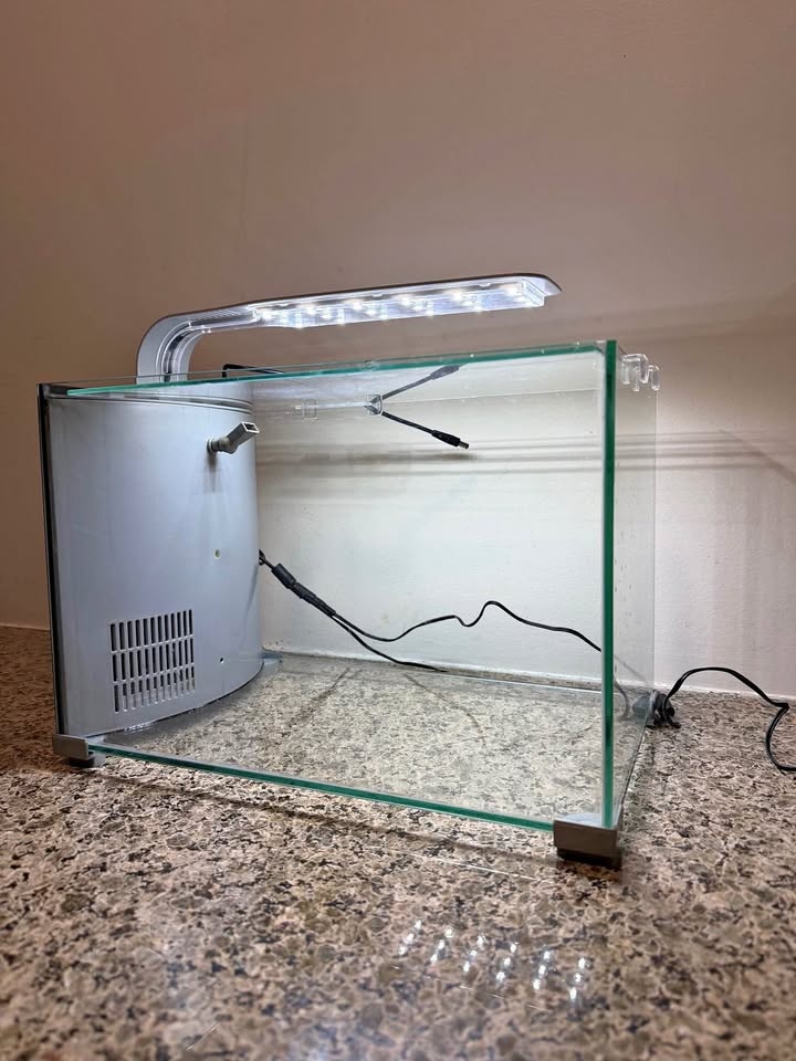 Top Fin Premium Glass Aquarium - 5 Gallon