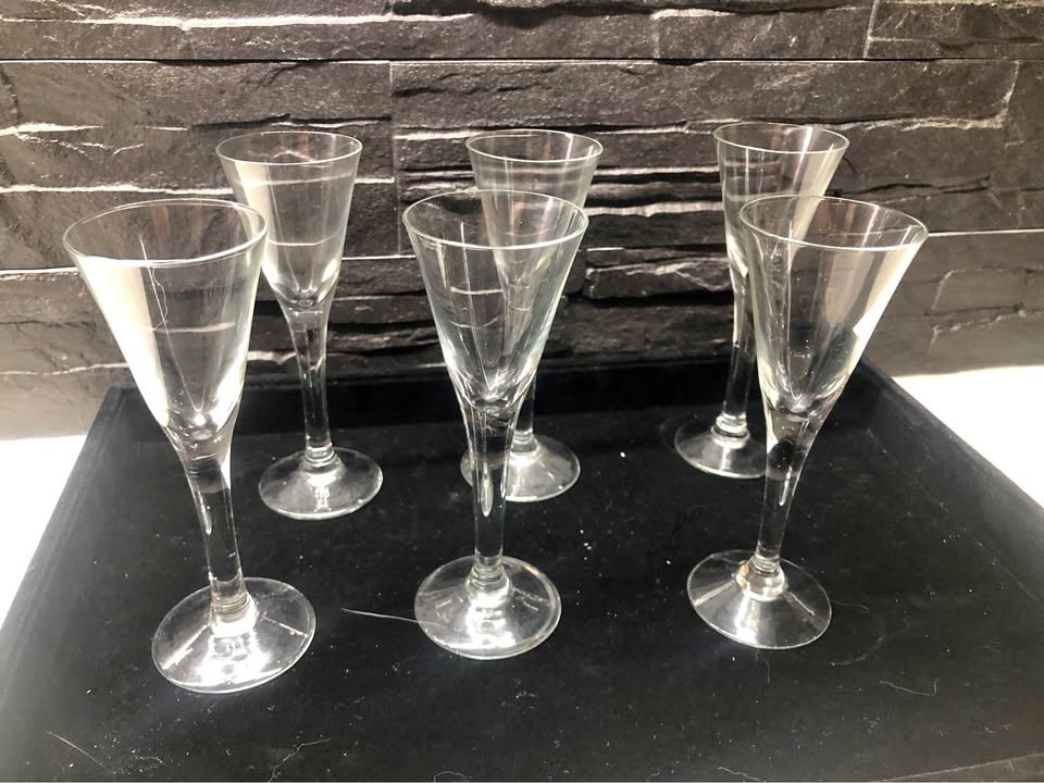 Wine Tasting Glass Set - Set of 6❤️