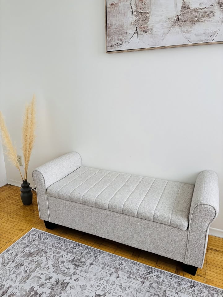 Chaise Lounge With Storage