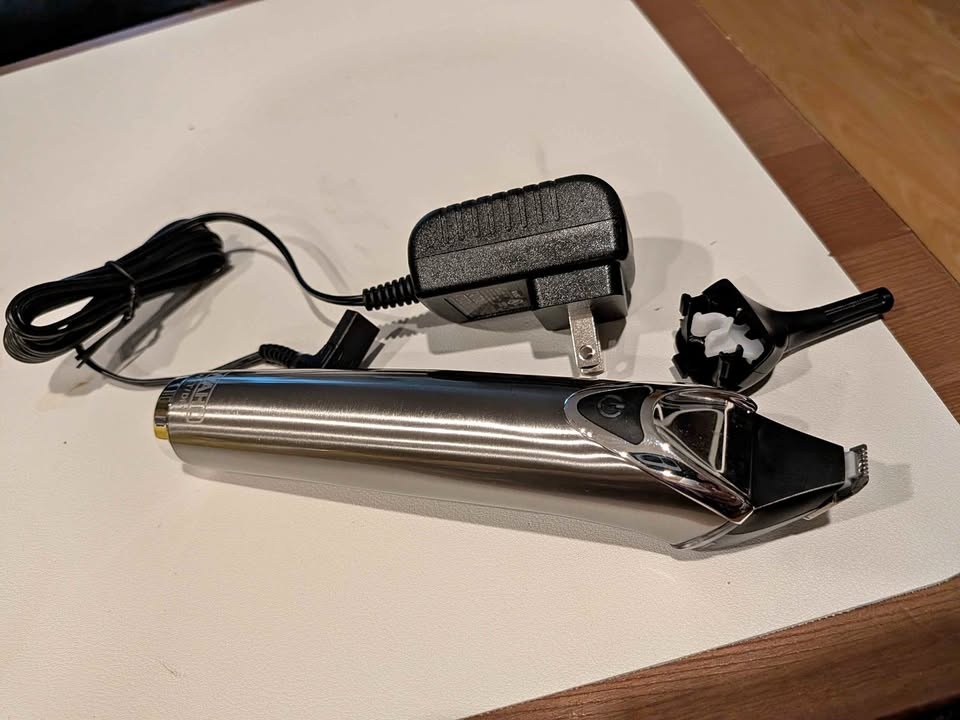 Wahl Precision Trimmer