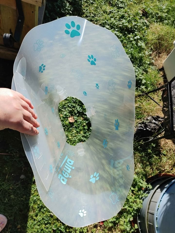 🧡Bingo Pet Recovery Cone 30 CM with Paw Prints - photo 2