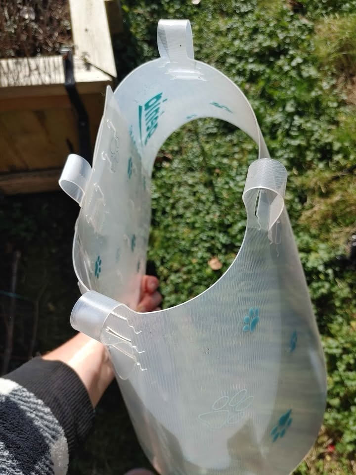 🧡Bingo Pet Recovery Cone 30 CM with Paw Prints - photo 4