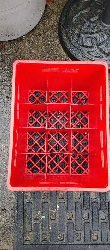 🧡Avalon Dairy Red Crate. Great used condition. - photo 4