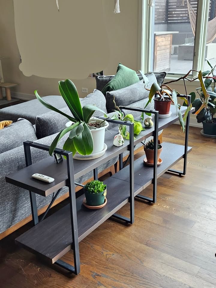 Rush Etagere Bookcase OR Plant Stand