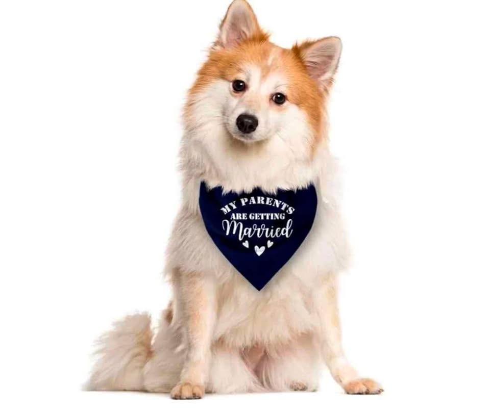 Brand New Dog Bandana for Wedding Photos