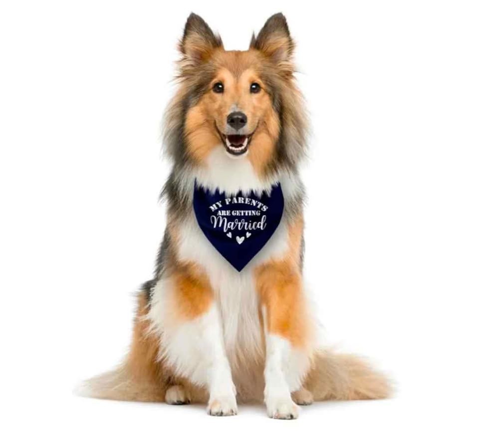 Brand New Dog Bandana for Wedding Photos - photo 4