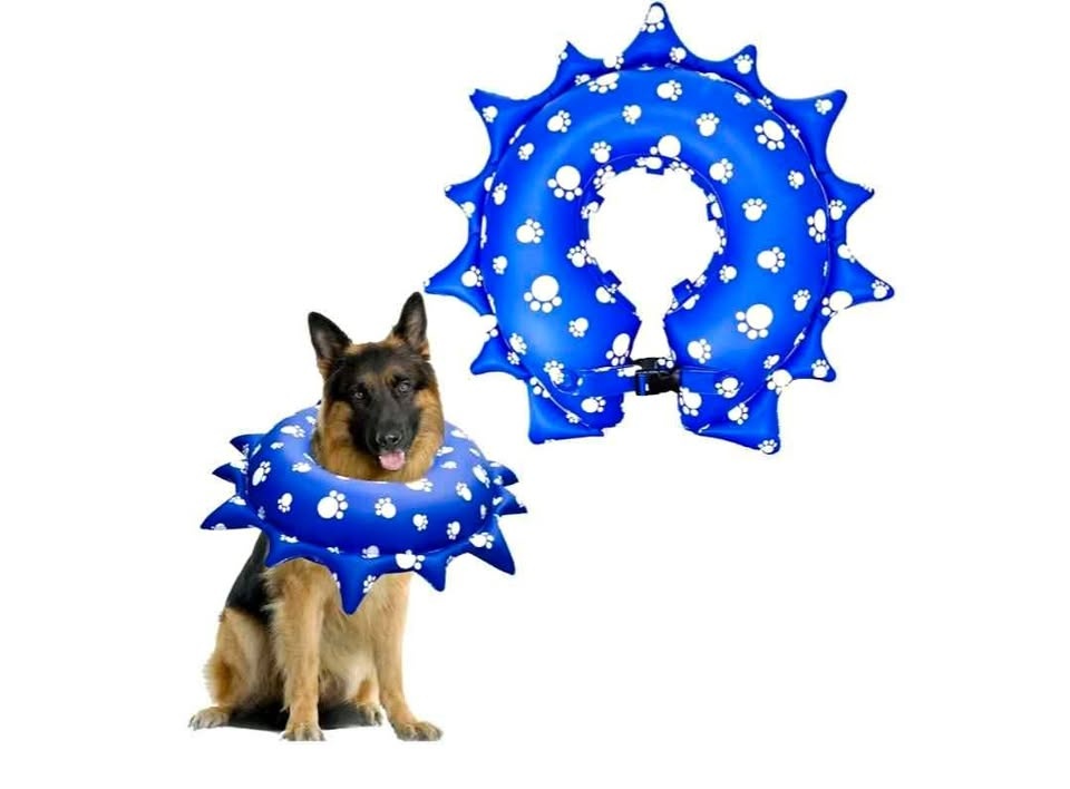 Protective Inflatable Recovery Collar for Dogs