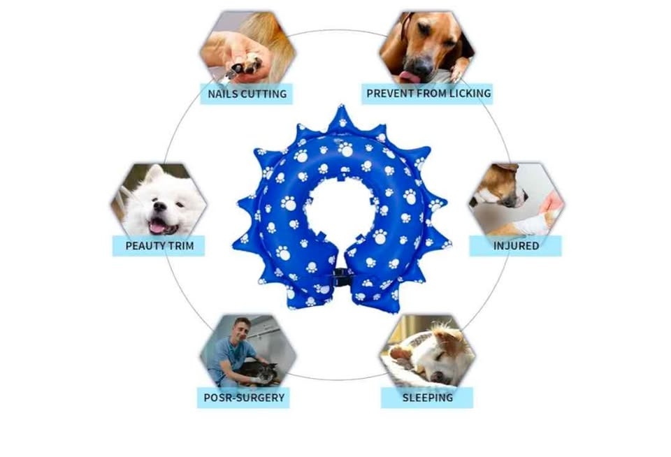 Protective Inflatable Recovery Collar for Dogs - photo 4