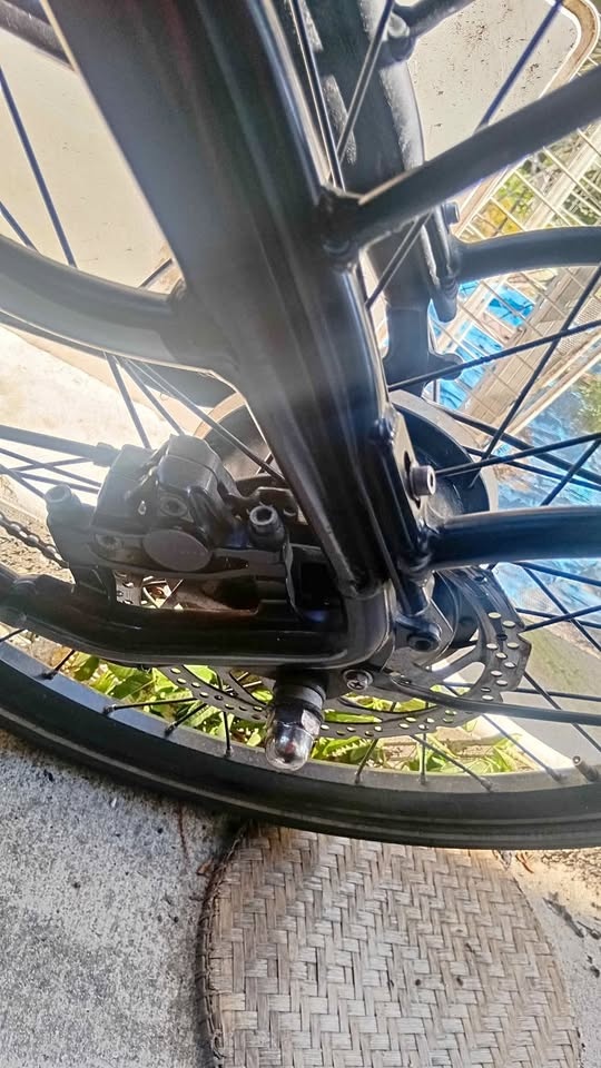 Electronic bicycle