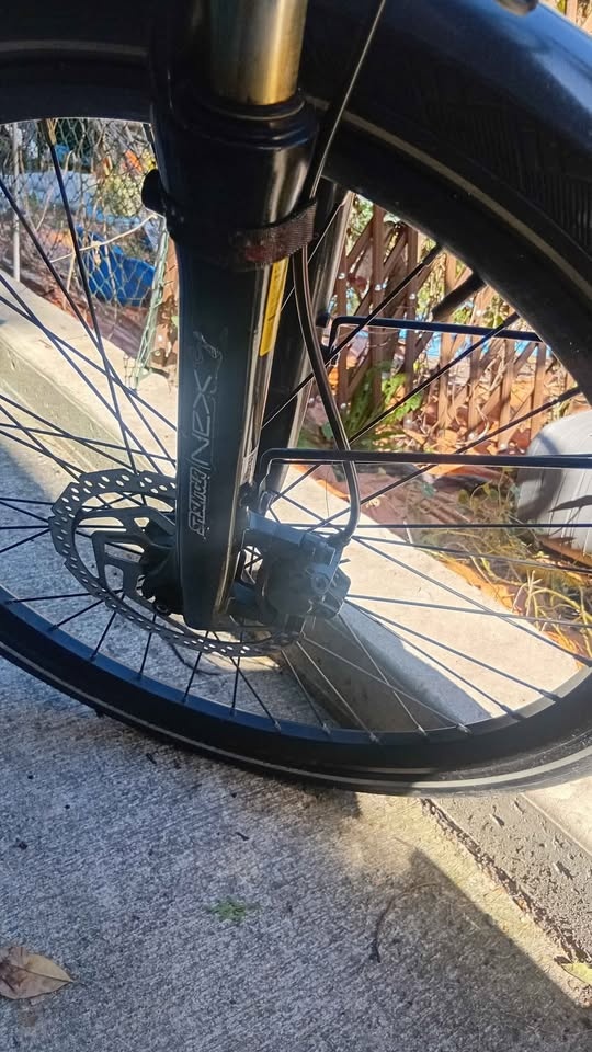 Electronic bicycle - photo 2