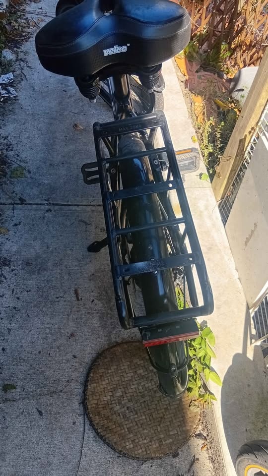 Electronic bicycle - photo 4