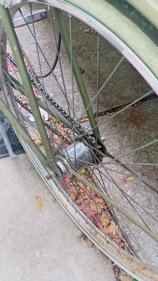 Antique bicycle - photo 2