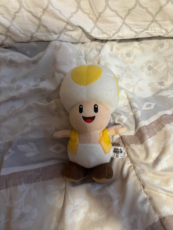 Super Mario Toad Stuffies *SEE DESCRIPTION* - photo 5
