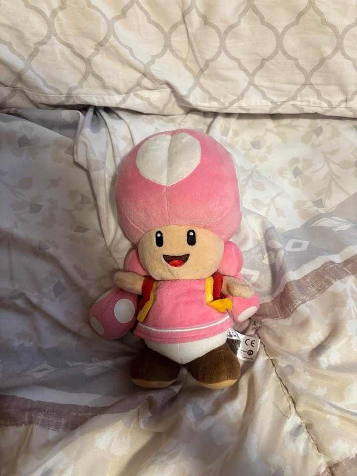 Super Mario Toad Stuffies *SEE DESCRIPTION* - photo 4