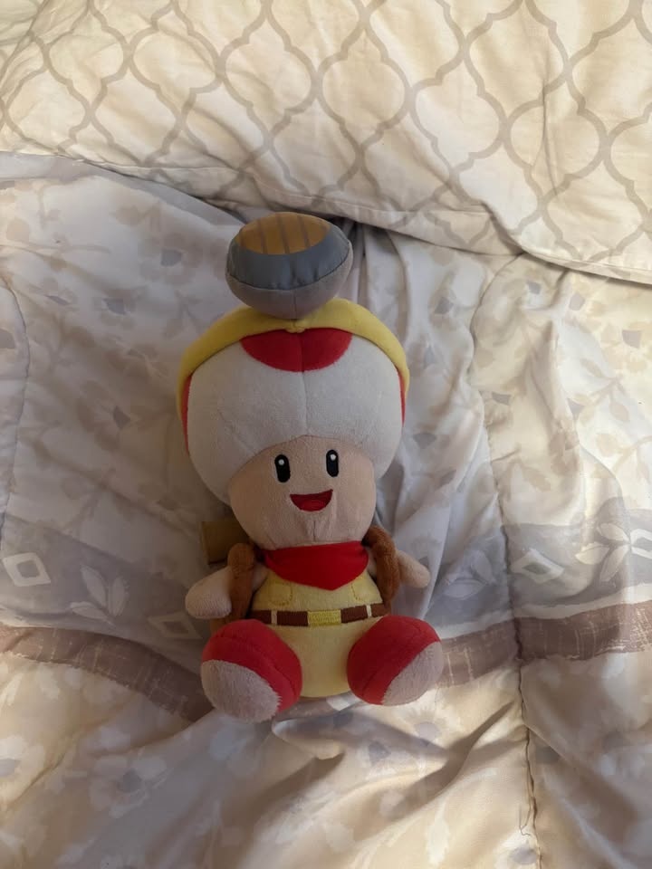 Super Mario Toad Stuffies *SEE DESCRIPTION* - photo 2