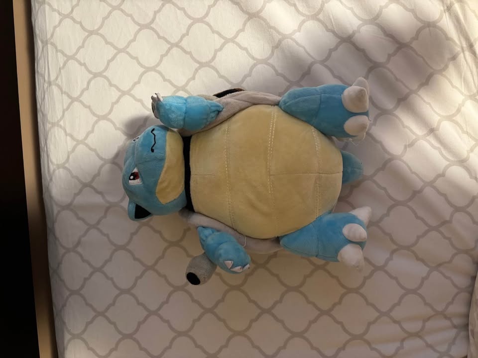 Pokemon Stuffed Animals *SEE DESCRIPTION* - photo 2