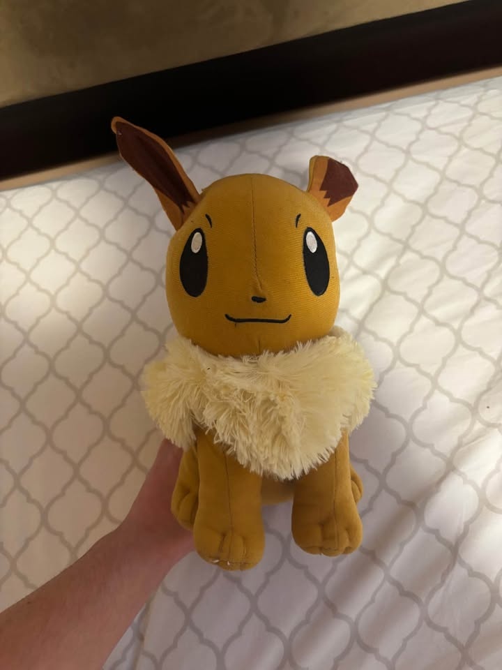 Pokemon Stuffed Animals *SEE DESCRIPTION* - photo 5