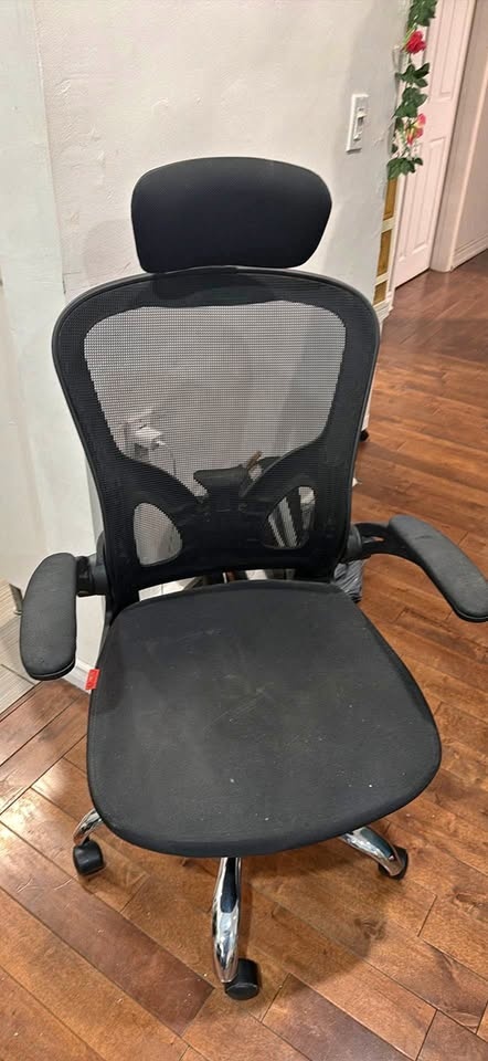 Ergonomic Chair