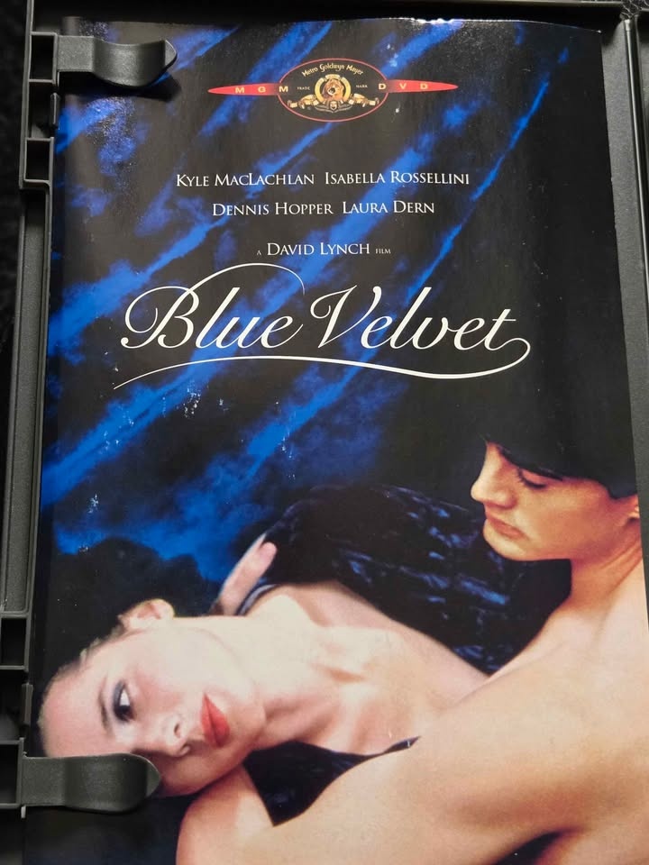 Blue Velvet DVD - David Lynch - photo 5