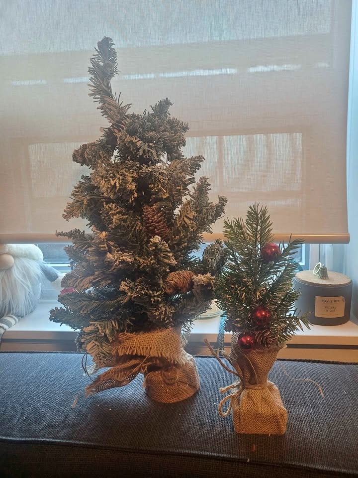 2 Mini Christmas Trees Flocked & Green