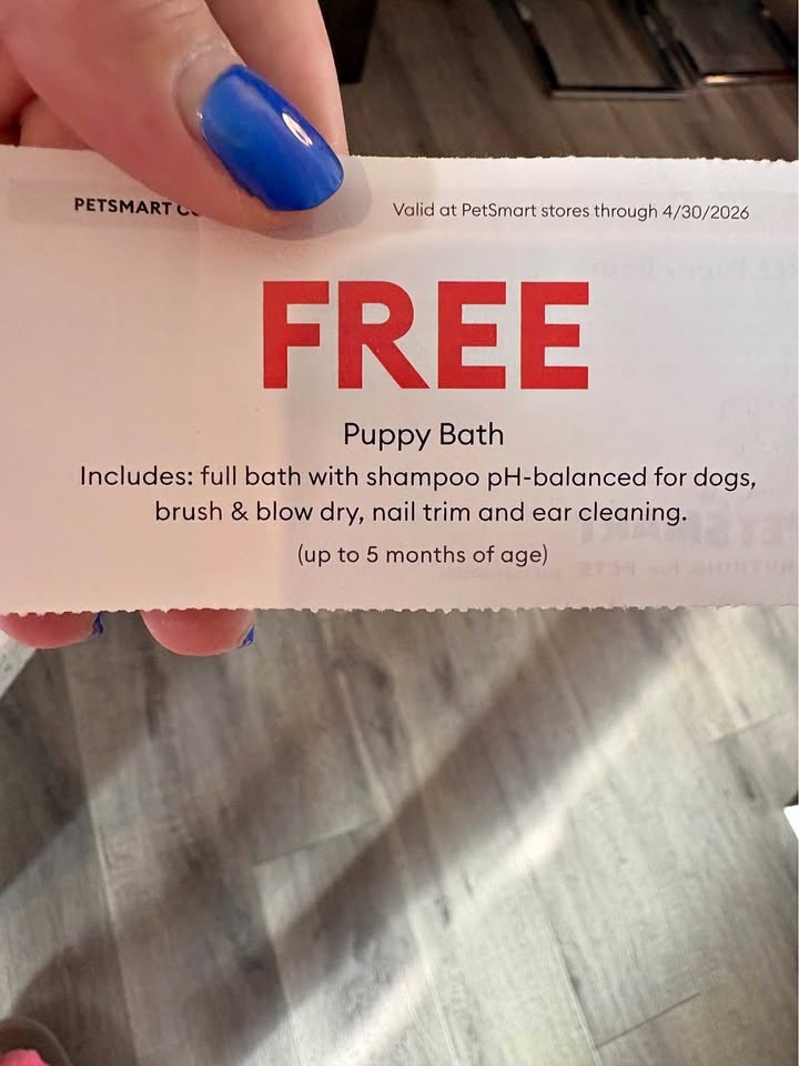 Petsmart Free Puppy Bath, Brush, Blow Dry, Nail Trim