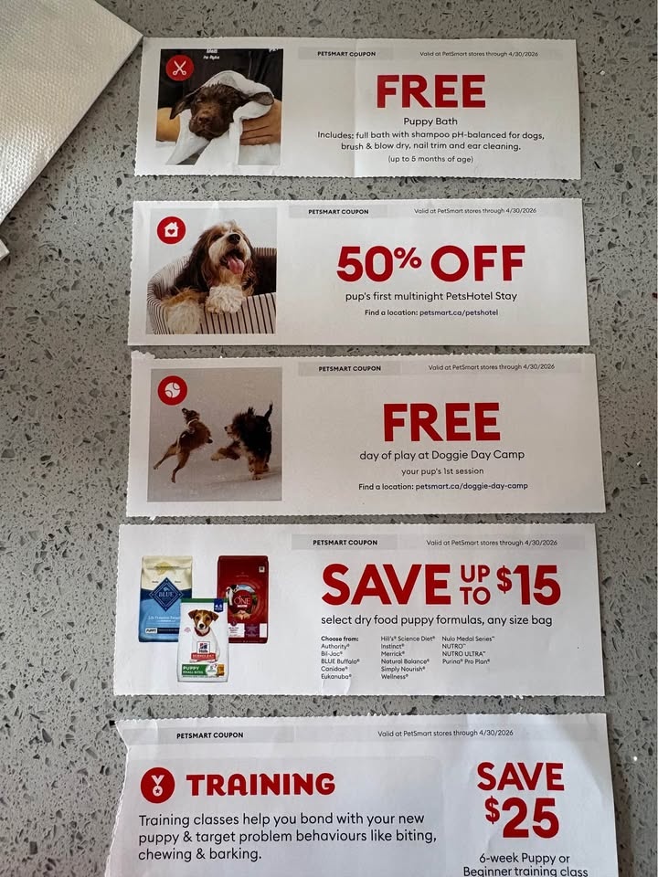 Petsmart Free Puppy Bath, Brush, Blow Dry, Nail Trim - photo 2
