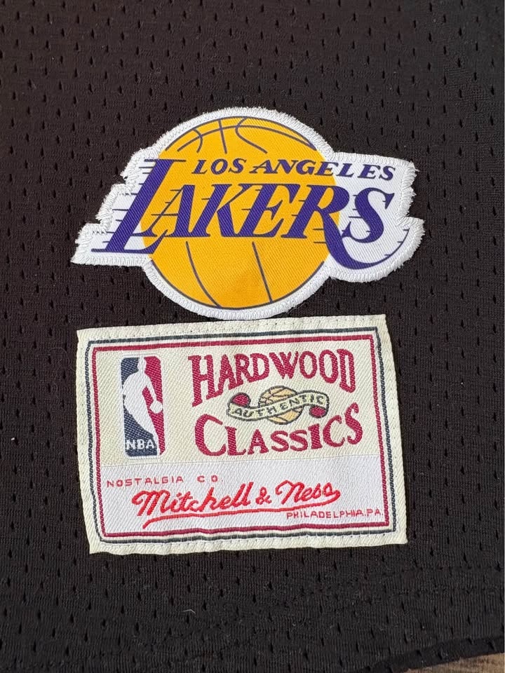 LeBron James LA Lakers Hooded Mesh Jersey - Excellent Condition - photo 3