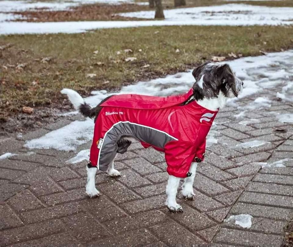 Brand New Pet winter Jacket - Size Small