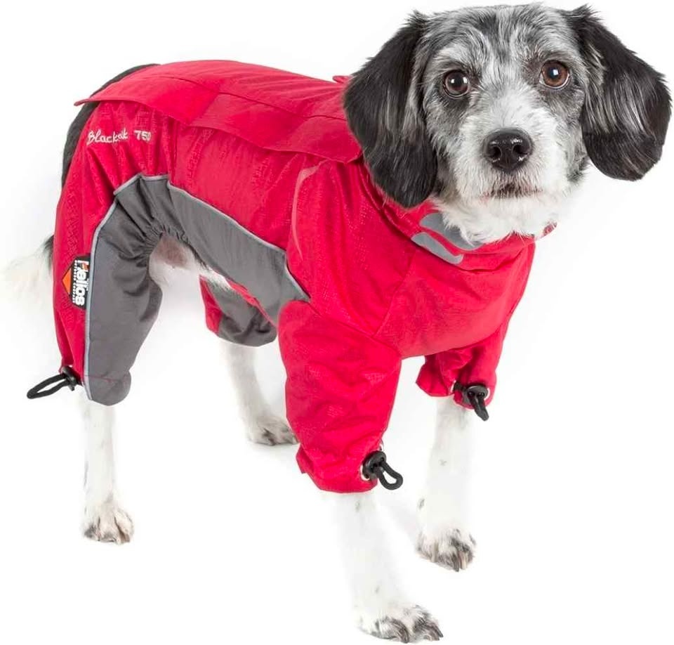 Brand New Pet winter Jacket - Size Small - photo 2