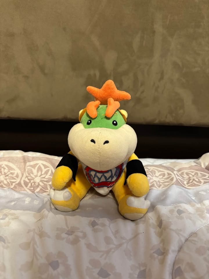 Super Mario Bros Stuffed Animals - photo 3