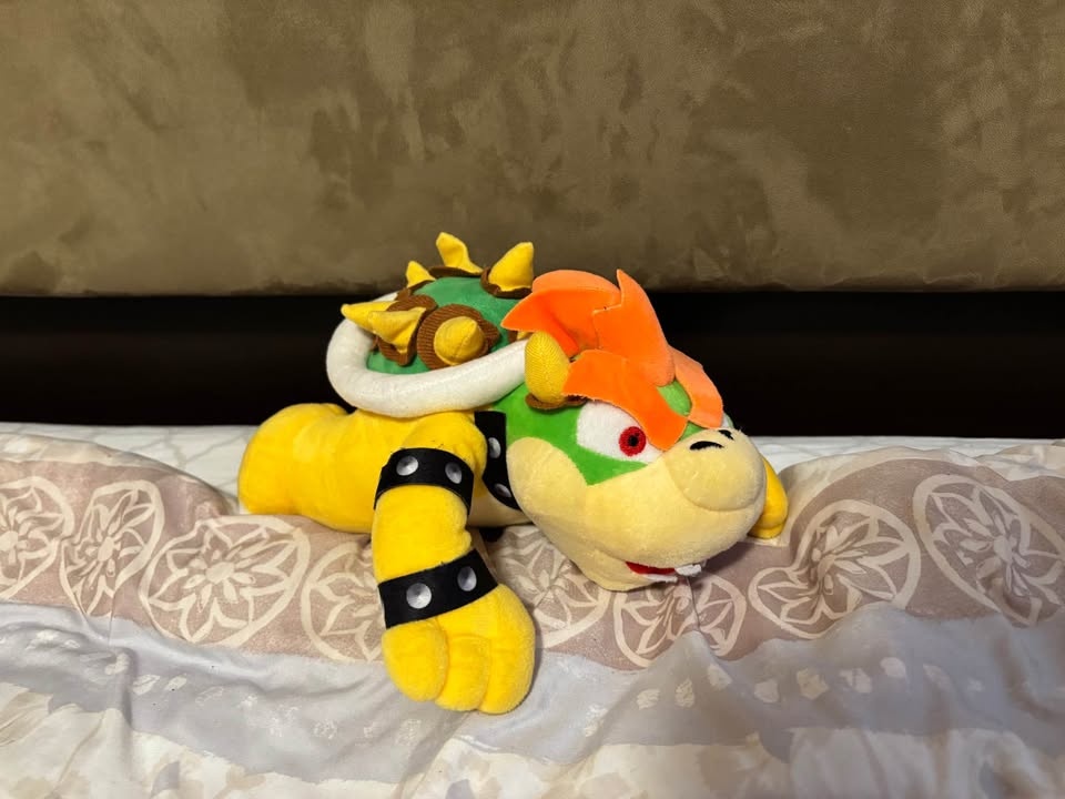 Super Mario Bros Stuffed Animals - photo 4