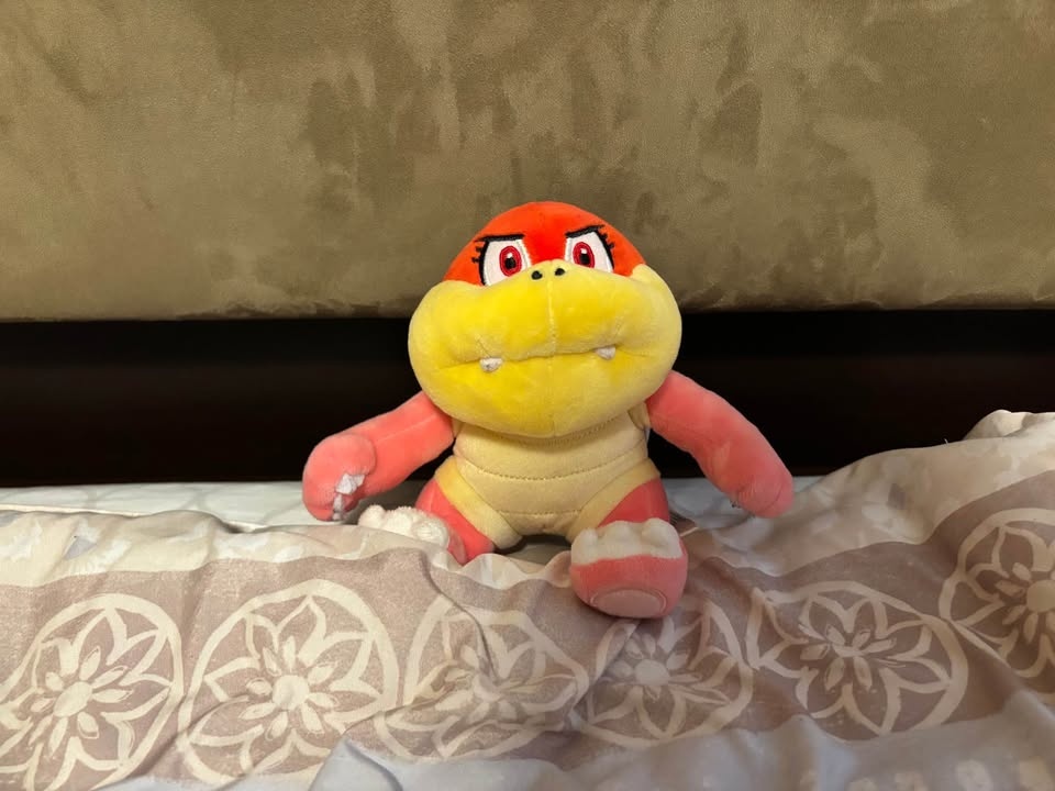 Super Mario Bros Stuffed Animals *SEE DESCRIPTION* - photo 4