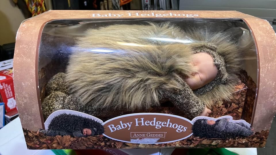 Anne Geddes baby hedgehog never opened