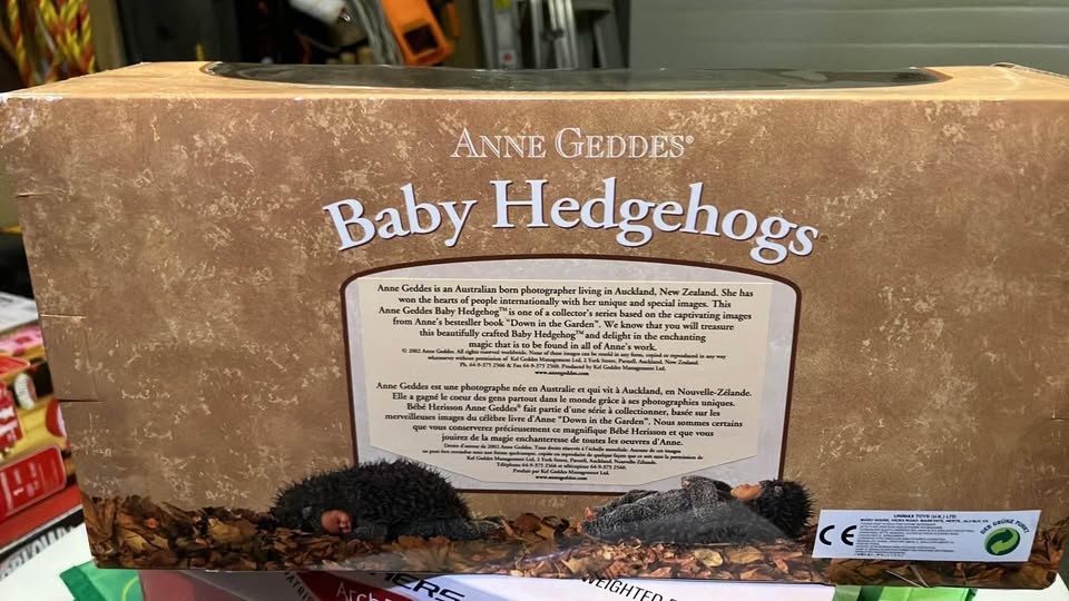 Anne Geddes baby hedgehog never opened - photo 2