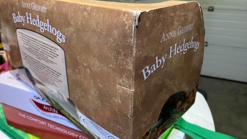 Anne Geddes baby hedgehog never opened - photo 3