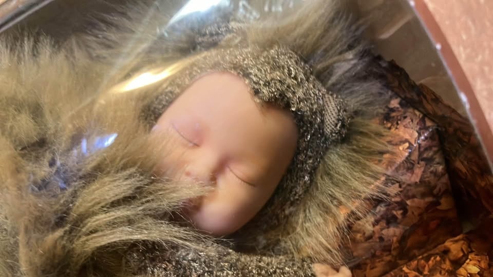 Anne Geddes baby hedgehog never opened - photo 4