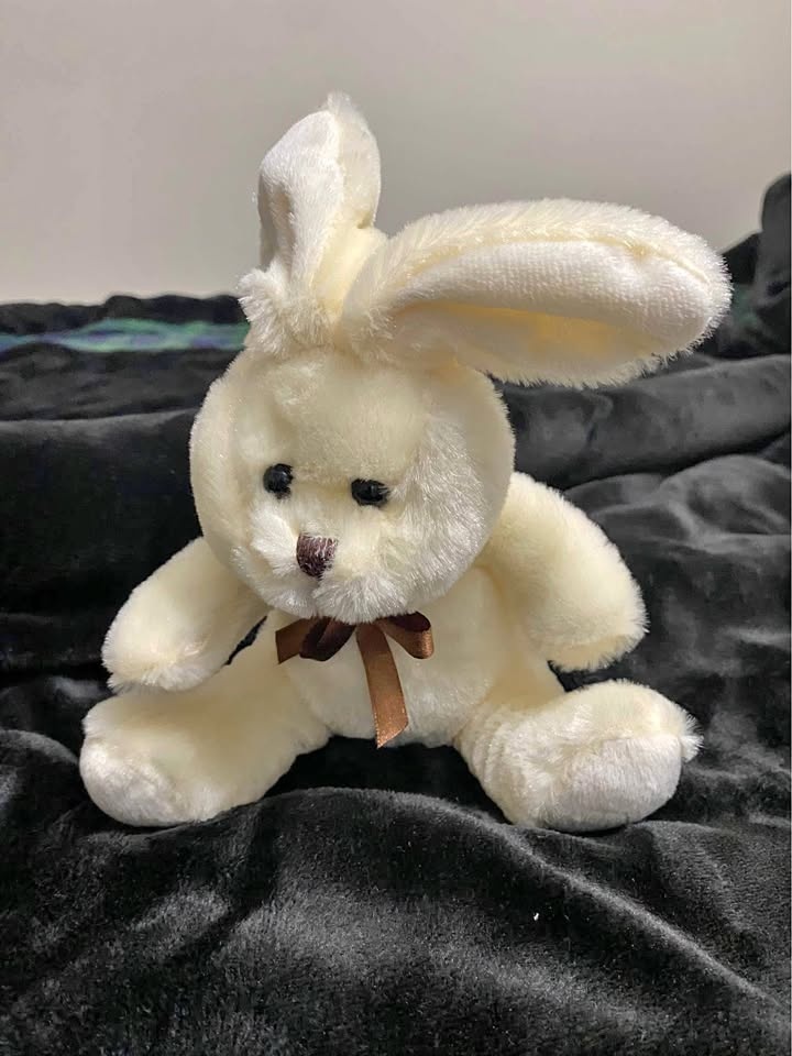 Cute bunny (gift idea)