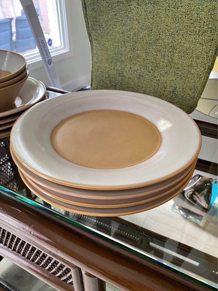 Set of 4 Ceramic Dinner Plates (Excellent Condition)