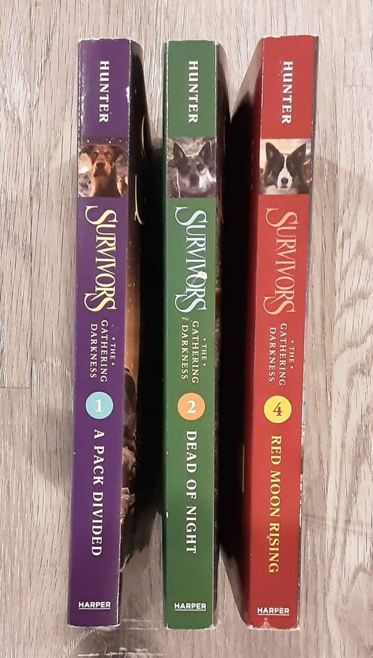 Survivors: The Gathering Darkness Books 1, 2, 4 by Erin Hunter - - photo 3