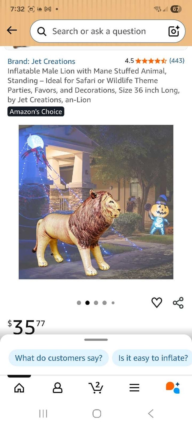 Jet Creations Inflatable Lion - photo 2
