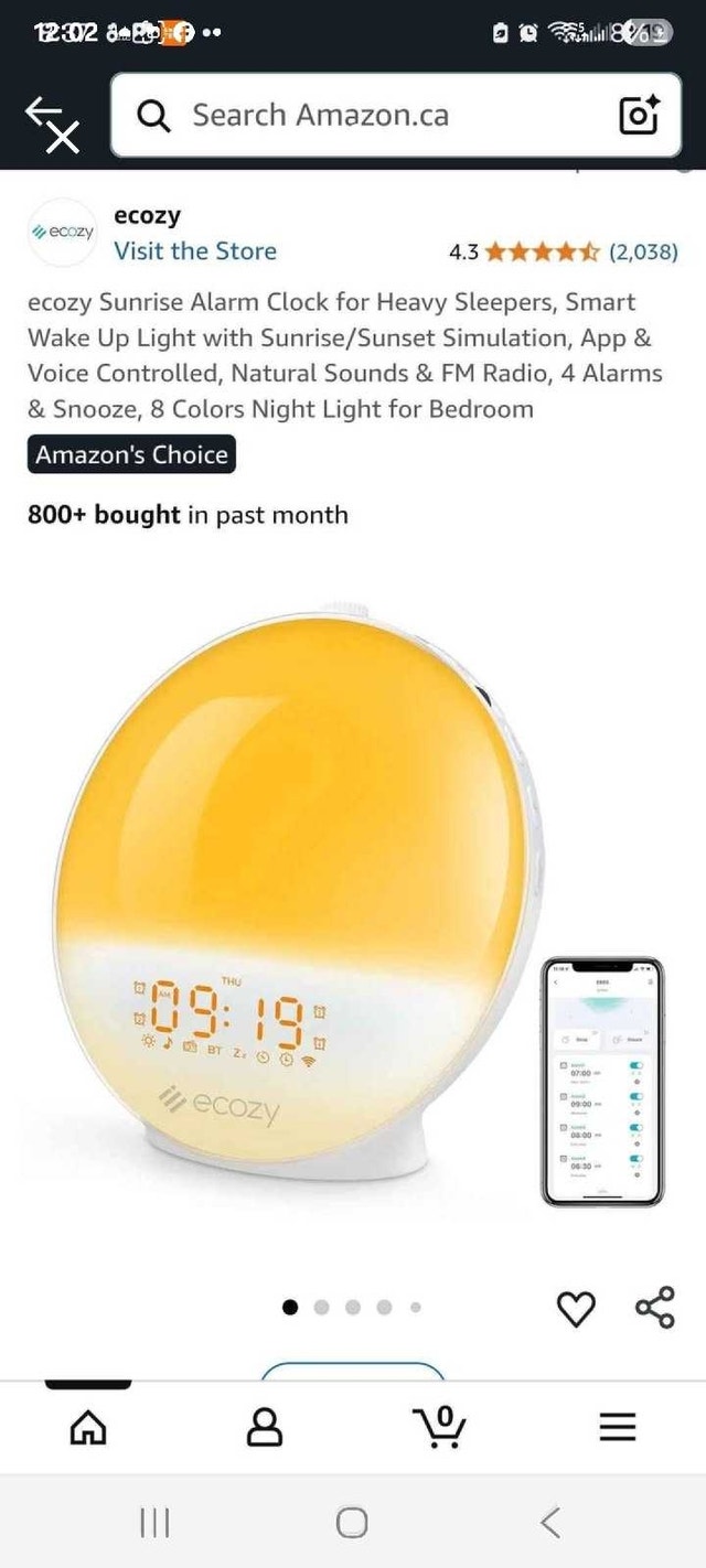 Ecozy Sunrise Alarm Clock