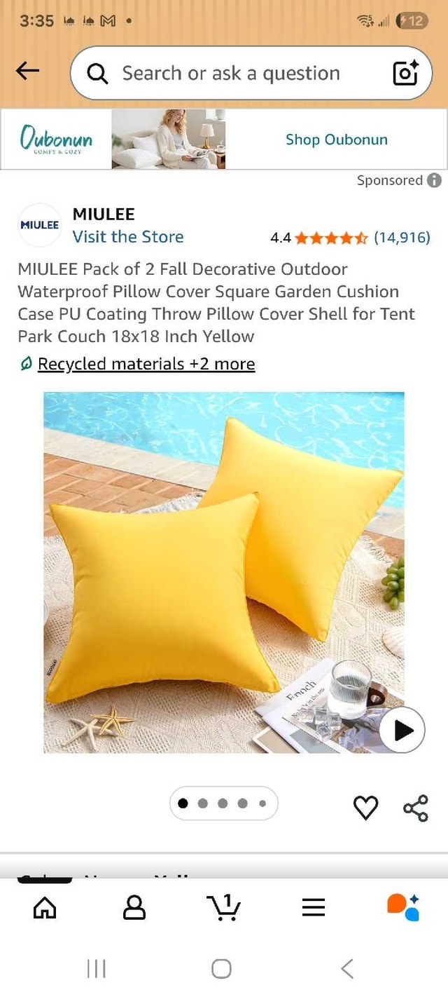 MIULEE Decorative Outdoor Pillow Covers (Set of 2)