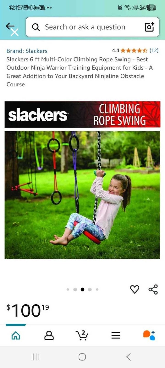 Slacker Rope Swing - photo 4