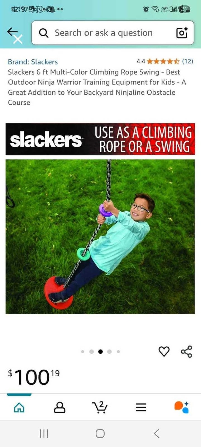Slacker Rope Swing - photo 5