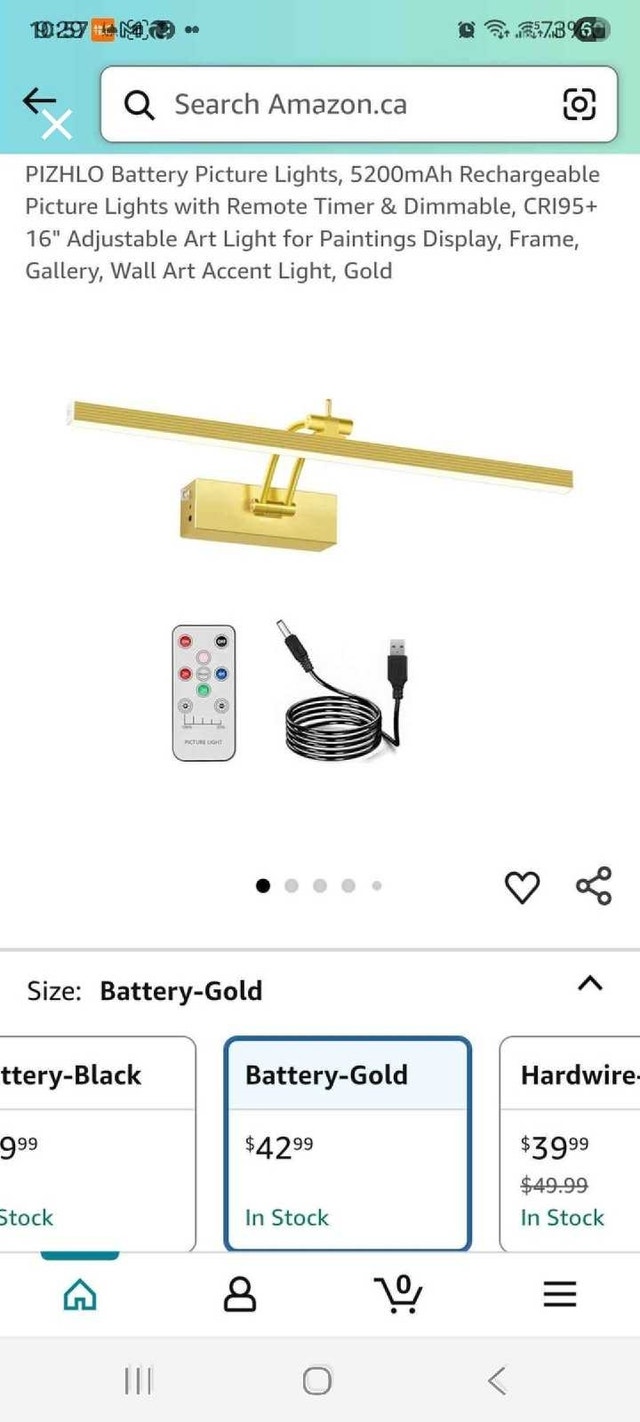 PIZHLO Picture Light (Pack of 2)