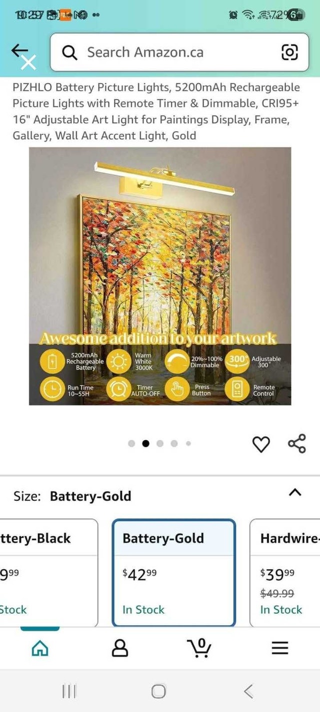 PIZHLO Picture Light (Pack of 2) - photo 2
