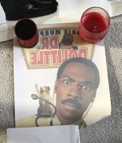 Brand New Dr. Dolittle Banner with 5 Window Clings - photo 3